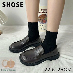 [t@[ w 2cmq[ pvX fB[X ₷ [q[ w l C V[Y wC ɂȂ XN[[t@[ wC ʋ ʊw Ǝ w   r [^