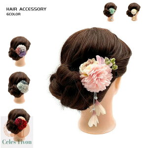    a wAANZT[ Nbv a [g sN O[ u[ȒP a  킢 20 ʐ^ LO ͂  V[g ߂  t[ 6color