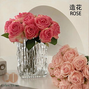 2Zbg tFCNt[  t[AWg ԑ [Yu[P  u[P KN [Y o CeAt[ A[eBtBVt[ CeA EFJXy[X 