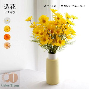 30{Zbg tFCNt[  ԑ fCW[  u[P e qiMN t[AWg CeAt[ A[eBtBVt[ CeA rO[ eiX