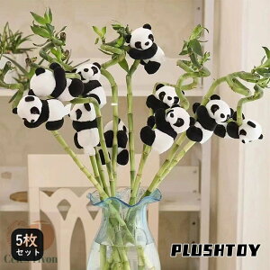 ~jʂ p_ 5Zbg Nbv CeA A J[e ȃp_ ʔ Cxg NX}X nEB VN  Mtg