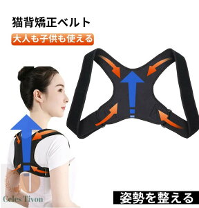 pxg p ObY Lwxg P  T|[^[ Lw ˂w   w؋xg LwT|[^[ Lwxg pT|[^[ p xgP T|[^