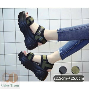 T_  fB[X X|[cT_ 7cm  RtH[gC Xj[J[ r[`T_ X|[c r Ռz ʋC ₷ AEghA s T_ y