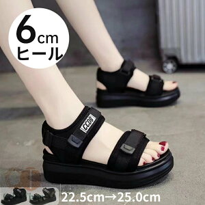 T_ fB[X T_ 6cmq[  RtH[g X|[cT_ʋC y }WbNe[v EFbW\[ ₷ Ռz ₷ 傫TCY tbg A