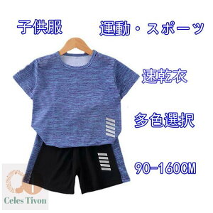 X|[cEFA LbY ㉺Zbg n[tpc  tVc V[gpc Y{ ZbgAbv ^ j̎q ̎q q qǂ WjA z O΍  킢 X