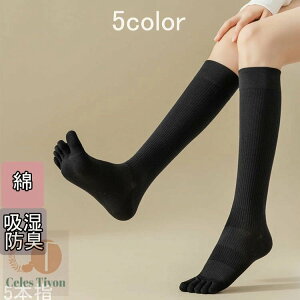 y2Zbgz\bNX 5{w VFCv\bNX nC\bNX C fB[X Y t  H~  g ₦Ƃ d˗ hL X|[c n {[_[ Jt  