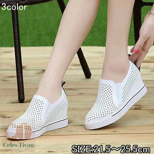 yz₷  Ȃ gAbv r Cq[Xj[J[ bVXj[J[  L y fB[X Xb|