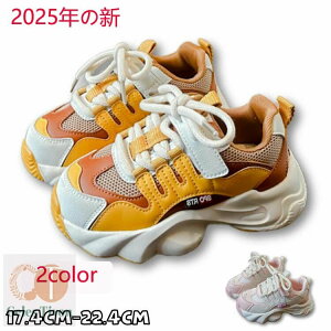 V[Y  `A q ^C qC i w X|[c JWA j̎q ̎q _X\ ʉ ʊw ~ WjA }WbNe[v