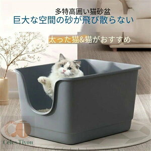 L lR ˂p gC LgC ˂gC e 傫 ^ ^lR юUȂ