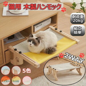 Lp nbN Lxbh 2Way ؐ Lpxbh ݂艺 ω׏d20kg  | gȒP  u O\ ʋC ߉\ ȒP lGΉ Oɂ 􂦂 xbh L