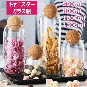 LjX^[ KXr @\ ^N KX^N  ۑe   Hie e ̗t R[q[ LfB[ َq  Lb` KX