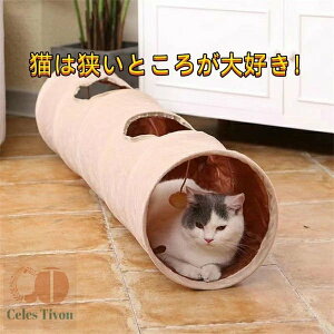 Lgl Lbggl   lC  ^s XgX ܂肽ݎ ybgߋ