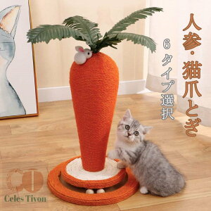 L ܂Ƃ |[ ɂ񂶂 ܌ Lp  L߂Ƃ ܂Ƃ|[ lQ Lbg^[ Lpi ybgp  CeA ܖ ܂݂   lC CeA XgX