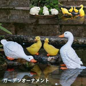 u K[fI[ig I|I[ig ETM rbg K[f K[fjO IuWF G Rabbit(rbg) uR@duck AeB[N u IuWF I[i