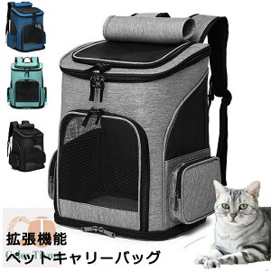 ybgL[obO ܂肽 傫 bN ybgL[ obN ybgobO Lp p ybgpi ^ ^ g~O h ʉ@ a@ hCu p bV ܂