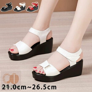 T_ T_ fB[X }WbNe[v q[T_ ANXgbv 傫TCY TCY q[6cm Sn悢   킢 C  l 񂾂