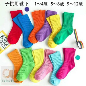 qpC _Xpi C 3Zbg 1`4 5`8 9`12 t H ~  ̎q j̎q n C qp C bh o sN p[v IW CG[ u[ O[ C ^