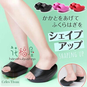 y6%OFFN[|z_CGbgXbp NT_ ̊ N ̊Xbp ƂȂ r₹  fB[X XGbg ^    ؃g GNTTCY bR  