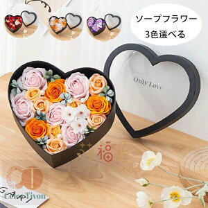  \[vt[ o^Cf[ v[g  ԑ n[g` {bNX AWg {bNXt[  ޏ j a v[g ̓ LO o^