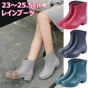 Cu[c fB[X V[g JC  }bgȎ Sh CV[Y GWjA ~hq[ [q[ TChSA h ʋ ʊw y ₷ y h Rt