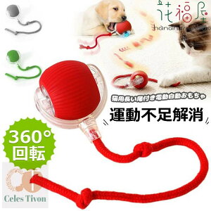 L   L{[ L {[ d dC USB [dt 360°]{[ C^NeBuȔLp{[ Lpt