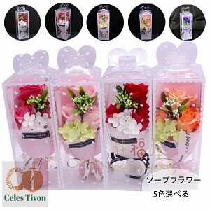  \[vt[ ̓ ԑ \[vt[  J[l[V o t[AWg v[g Vv[t[ {bNX ͂Ȃ  a j oYj