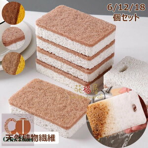 Lb`X|W TCU@ۃX|W L؍ރpvȖ Rۃ^Cv y6/12/18ZbgzRđ͔VRA@ۃX|W A z  R  ؂ A؂ H