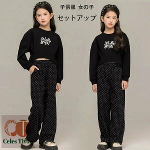 q ̎q ZbgAbv t H ubN ㉺Zbg LbY XEFbg+hbgY{ 2_Zbg K[Y V[g q Chpc Y{  pcZbg  