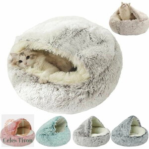 h[^ Lk xbh g ی^ ӂӂ   薰 _ ۉ ybg NbV ~ 􂦂 ^ p qL ybgpi h΍ ʔN 