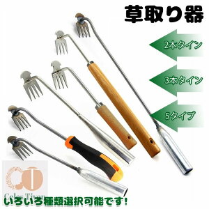 y6%OFFN[|z       c[  Ő  ЎL ؉L XeX L 4{^C 9^Cv 11{^C Kȕ G 