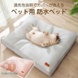 ybgxbh 􂦂 h NbV 傫 45×30×8cm 55×40×9cm 65×50×10cm 80×60×11cm \ ybg xbh ӂӂ Ck lR  L 