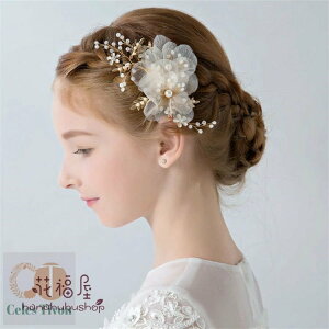 qwAANZT[ ԗ qǂJ`[V LbY t[K[ qtH[} sAm\hX