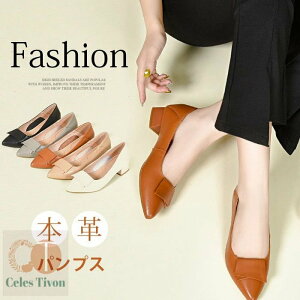  pvX {v ؂ [q[ v ɂȂ L fB[X y  tH ʋ  q[ N[g  񎟉 tH[} ₷ _炩 傫TCY 