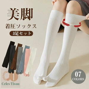 y3ZbgzC \bNX ܃\bNX nC\bNX fB[X 2{w  \bNX   G ܃\bNX ȍ ܌C n  킢 ^r\bNX O 