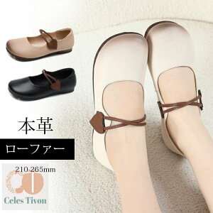  pvX [t@[ {v ؂ 1cmq[ fB[X w l V[Y TCY 傫TCY wC ɂȂ XN[ ubN  tH [t@[ C y L 