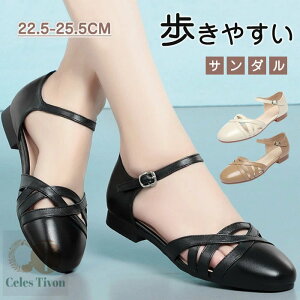 XgbvT_ fB[X {v U[ ANXgbv ƕt [q[ ₷ y JWA ꂢ  TCY 傫TCY r Ȃ wlC t