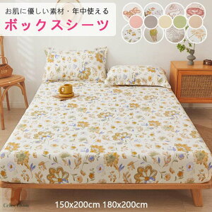 yIׂ14F ԕEnz{bNXV[c Z~_u VO _u xbhJo[ ыʂɂȂȂ V[c xbhV[c ~pbg }bgXJo[ k  xn 