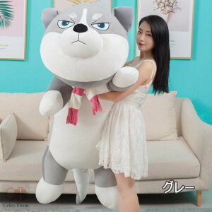 Iʂ nXL[   v[g 蕨 傫 o^Cf[ a  JCC @NX}X v[g a nX^[@