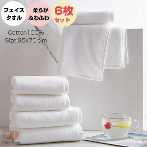yg₷tFCX^IztFCX^I 6ZbtFCX^I z 100  ^I ze^Ix z   oX^I ƒp35×70cm Ɩp z e