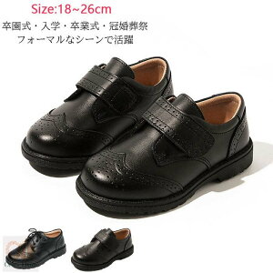 y㎿iz[t@[ LbY qC V[Y LbY LbY[t@[  sAm \ ߑ C   w  ʊw ܎O  Ǝ  18CM~26cm tH[}