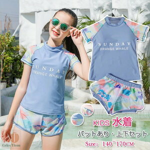 y gbvXpcz LbY K[Y q ㉺Zbg gbvX pc ̌^Jo[ XN[ K[Y  LbY  ̎q  XCEFA X|[cEGA 140/150