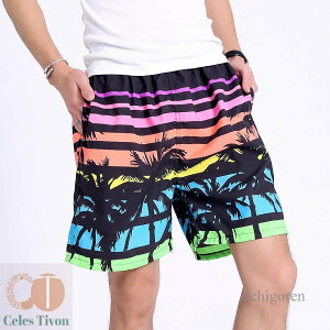 Cpc Y  Y jp n T[tpc p Ci[  Cp C v[  傫TCY V s