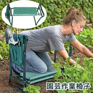 K[f`FA | Ƒ ƈ֎q |Ɨp K[f`FA GK[f ȉGx` ܂肽 K[fj[[x` ނ  | K[fjO t 