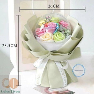 \[vt[  \[v t[ hV̓ ԑ 킢 ̓ a Mtg  o Pn V{t AN o[ u[P