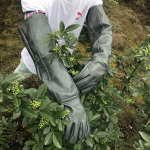 yzO  K[fjO |p oO[u K[fO[u gQ op v KNp