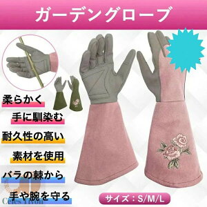 K[fjOO[u |p o KN K[fO[u K[fjO h gQ gQh~ ԕ