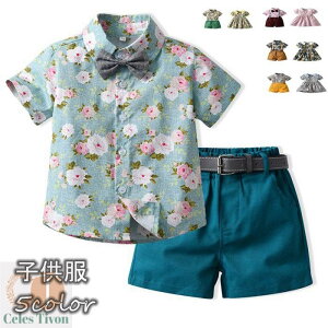 q ̎q j̎q 2_Zbg Vc{V[gpc LbY q AnVc Vc  nC ԕs[X ʕ hbg ԕ  ZbgAbv Tybg s[X