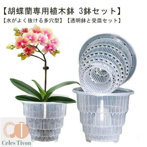 Ӓp Aؔ 3Zbg Ӓ̐Aւ  Mt ^ ʋCQ h~ a12cm a15cm rt vX`bN  ̔ ϗtA̔  NA 