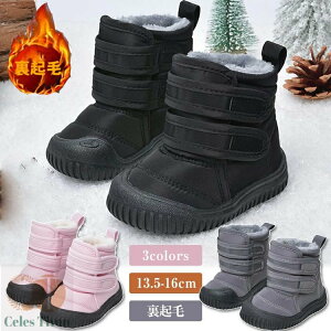 LbY qC Xm[u[c xr[ V[Y@j̎q ̎q N h H~ h [gu[c c g  xr[ C u[c V qǂ V[Y   g