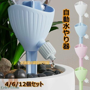  ybg{g Lbv 蓖  4/612Zbg @ ƒp       Up ϗtA   ybg{g 